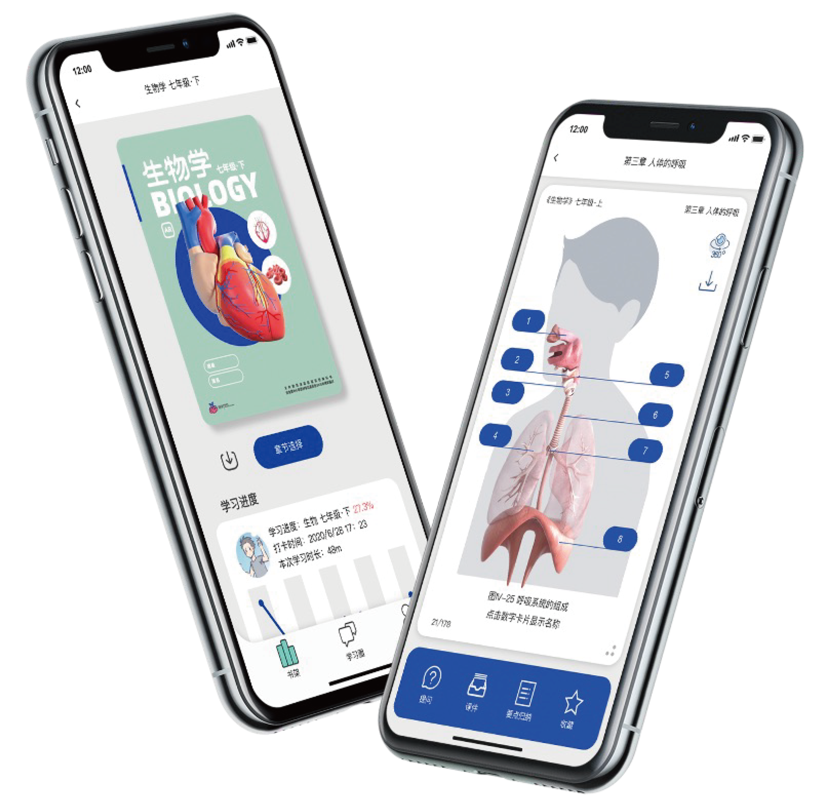 App interface overview